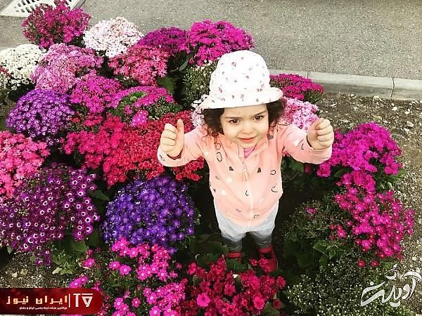 هدیه ارزشمند همسر آزاده نامداری بر مزار او + عکس